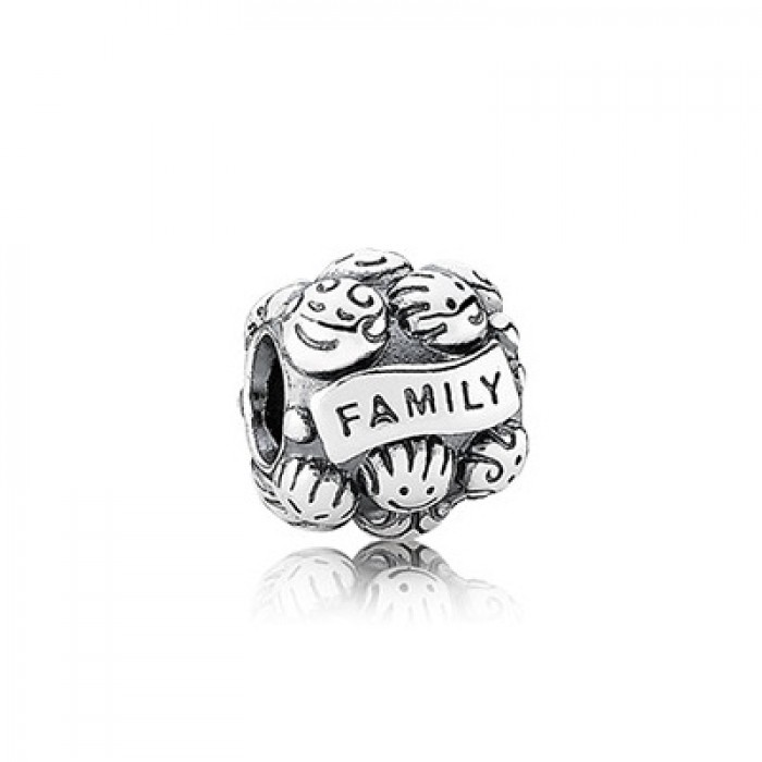 Pandora Jewelry Family Love Charm