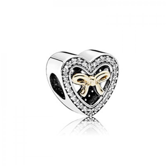 Pandora Jewelry Bound By Love Charm